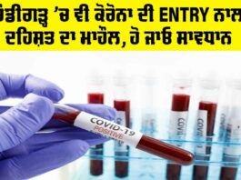 Chandigarh Corona News