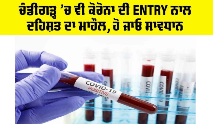 Chandigarh Corona News