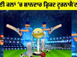 Cricket Tournament