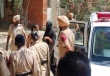 Drug Smuggling Case