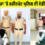 Faridkot News