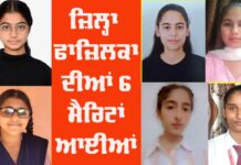 Fazilka District Results