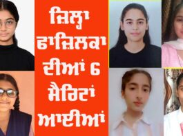 Fazilka District Results