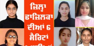 Fazilka District Results