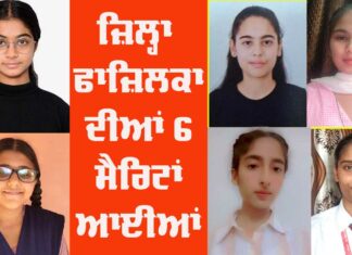 Fazilka District Results