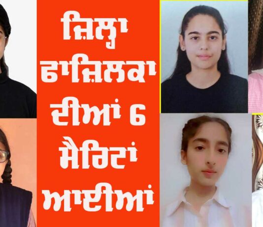 Fazilka District Results