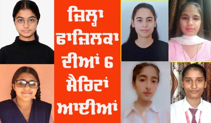 Fazilka District Results