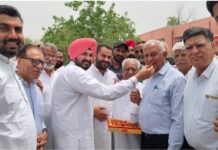 Fazilka News