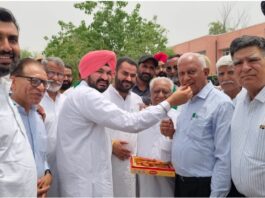 Fazilka News