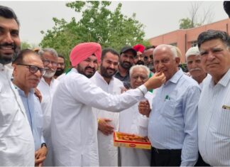 Fazilka News