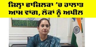 Situation of Fazilka district