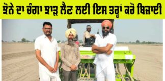Fazilka News