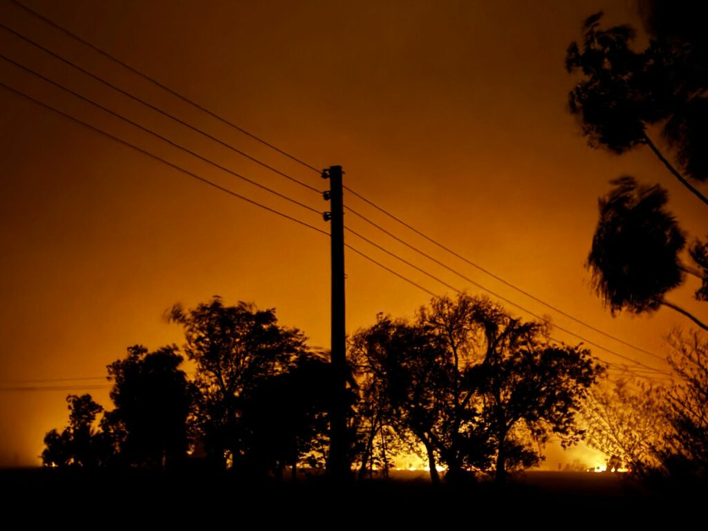 Punjab Fire News