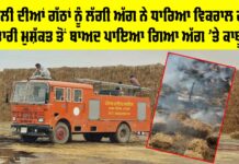 Fire News