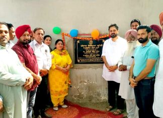 Government Schools Punjab