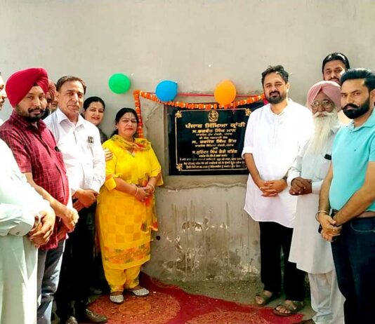Government Schools Punjab