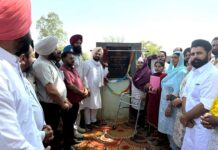 Government Schools Punjab