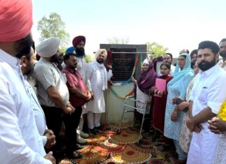Government Schools Punjab