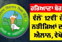 HBSE Result 2025