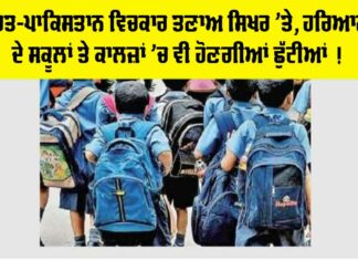 Haryana Holiday News