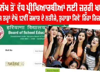 Haryana Result BHSE 2025
