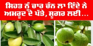 Health Tips