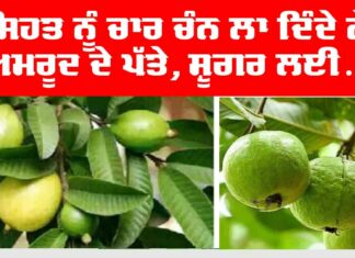Health Tips
