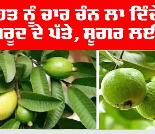 Health Tips