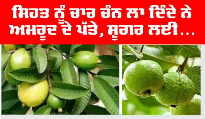 Health-Tips Health Tips