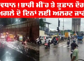 Heavy Rain Alert