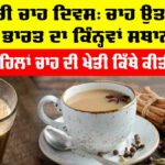 International Tea Day 2025