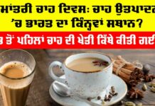 International Tea Day 2025