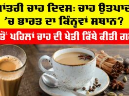 International Tea Day 2025