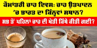 International Tea Day 2025