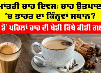 International Tea Day 2025