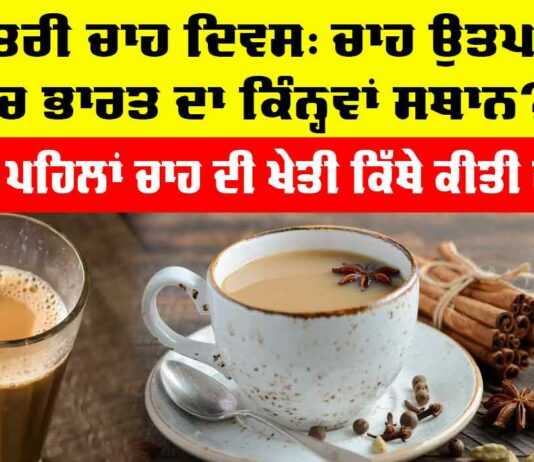 International Tea Day 2025