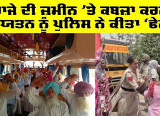 King Land Sangrur