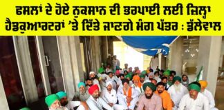 Punjab Kisan News