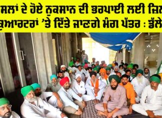 Punjab Kisan News