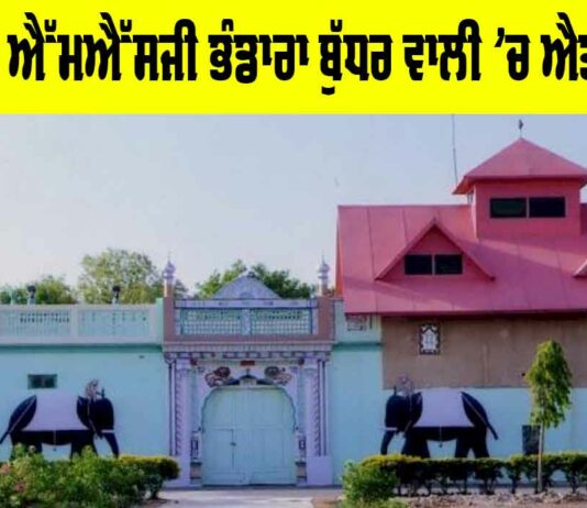 MSG Bhandara
