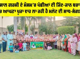 Malout News
