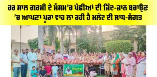 Malout News