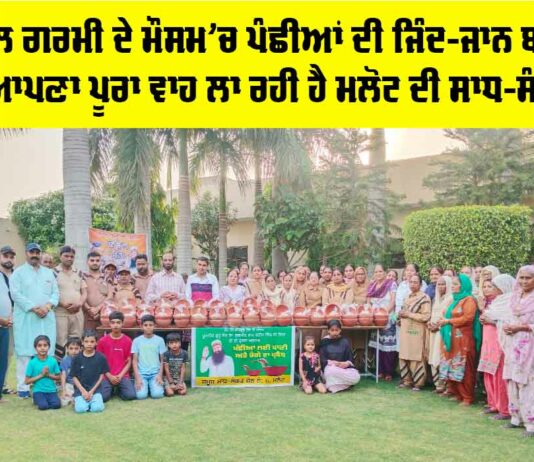 Malout News
