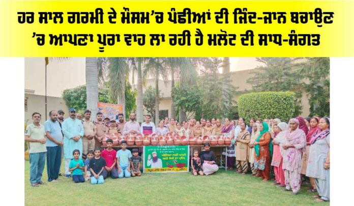 Malout News