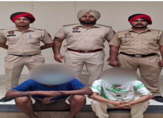 Moga News