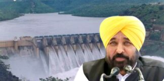 Nangal Dam News