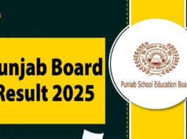 PSEB 12th Result