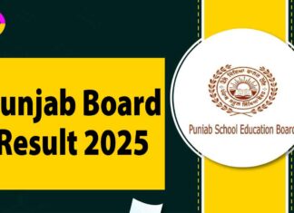 PSEB 12th Result