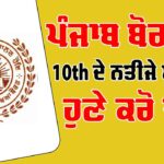 PSEB 10th Result 2025