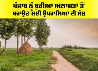 Punjab